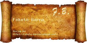 Fekete Barna névjegykártya